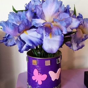 Meet your Posher, Monica